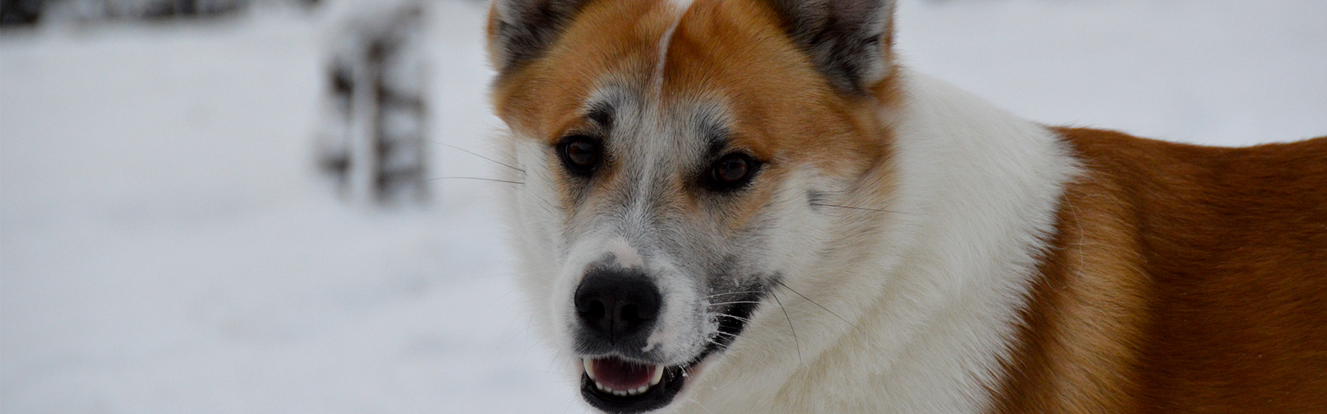 © Maria Vilain Rorvang *